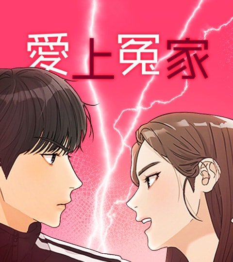愛上冤家封面